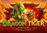 Dragon Tiger Fortunes