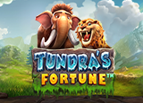 Tundra’s Fortune